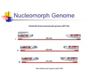 Nucleomorph Genome