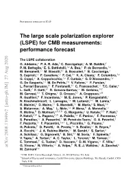 The Large Scale Polarization Explorer (LSPE) for CMB Measurements: Performance Forecast