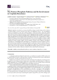 The Pentose Phosphate Pathway and Its Involvement in Cisplatin Resistance