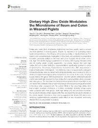 Dietary High Zinc Oxide Modulates the Microbiome of Ileum and Colon in Weaned Piglets