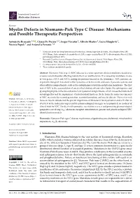 Myelin Defects in Niemann–Pick Type C Disease: Mechanisms and Possible Therapeutic Perspectives