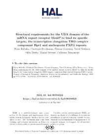 Structural Requirements for the UBA Domain of the Mrna Export