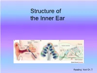 Structure of the Inner Ear
