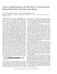 Activity of Spinal Interneurons and Their Effects on Forearm Muscles During Voluntary Wrist Movements in the Monkey