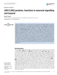 LNX1/LNX2 Proteins: Functions in Neuronal Signalling and Beyond