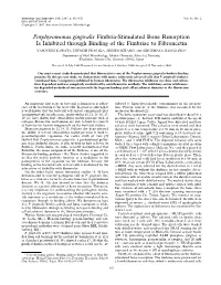 Porphyromonas Gingivalis Fimbria-Stimulated Bone Resorption Is Inhibited Through Binding of the Fimbriae to Fibronectin