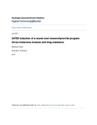 SATB2 Induction of a Neural Crest Mesenchyme-Like Program Drives Melanoma Invasion and Drug Resistance