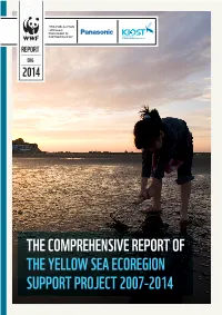 THE COMPREHENSIVE REPORT of the YELLOW SEA ECOREGION SUPPORT PROJECT 2007-2014 Table of Contents
