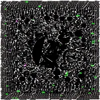 Graph-Radial.Pdf