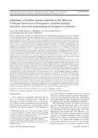 Ichnology of Shallow Marine Deposits in the Miocene Chenque Formation of Patagonia: Complex Ecologic Structure and Niche Partitioning in Neogene Ecosystems