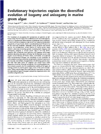 Evolutionary Trajectories Explain the Diversified Evolution of Isogamy And