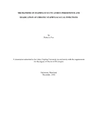 Mechanisms of Staphylococcus Aureus Persistence And