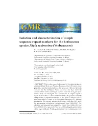 Isolation and Characterization of Simple Sequence Repeat Markers for the Herbaceous Species Phyla Scaberrima (Verbenaceae)