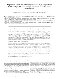 Exposure of a Single Host (Chrysomya Megacephala) (Calliphoridae) to Different Quantities of Female Parasitoids (Nasonia Vitripennis) (Pteromalidae)