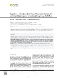 Karyotypes of Southeastern Turkish Scorpions Hottentotta Saulcyi and Buthacus Macrocentrus (Scorpiones: Buthidae)