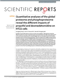 Quantitative Analyses of the Global Proteome and Phosphoproteome Reveal the Different Impacts of Propofol and Dexmedetomidine on HT22 Cells