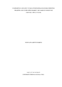 Composition and Life Cycles of Necrophagous Flies Infesting Wrapped and Unwrapped Rabbit Carcasses in Johor for Forensic Applications