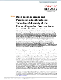 Deep Ocean Seascape and Pseudotanaidae (Crustacea