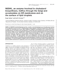 NSDHL, an Enzyme Involved in Cholesterol Biosynthesis, Traffics Through the Golgi and Accumulates on ER Membranes and on The
