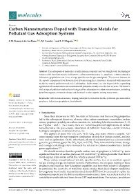 Carbon Nanostructures Doped with Transition Metals for Pollutant Gas Adsorption Systems