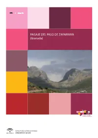 PAISAJE DEL PASO DE ZAFARRAYA (Granada) © IAPH