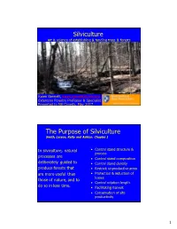 Silviculture Art & Science of Establishing & Tending Trees & Forests