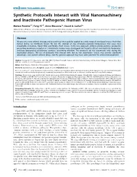 Synthetic Protocells Interact with Viral Nanomachinery and Inactivate Pathogenic Human Virus