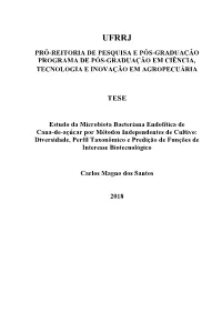 Tese Carlos 2018