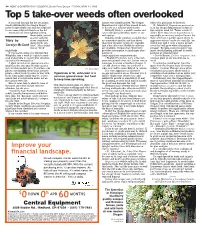 Top 5 Take-Over Weeds Often Overlooked