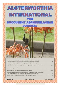 Aloe Lateritia Var