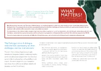 What Matters?