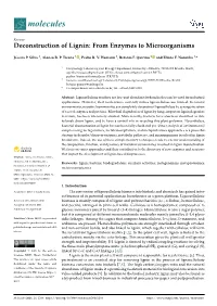 Deconstruction of Lignin: from Enzymes to Microorganisms