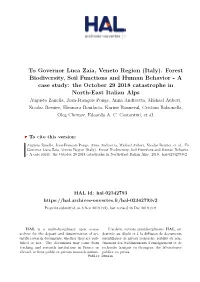 Forest Biodiversity, Soil Functions and Human Behavior