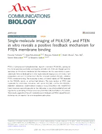Single-Molecule Imaging of PI(4,5)P2 and PTEN in Vitro Reveals a Positive Feedback Mechanism for PTEN Membrane Binding