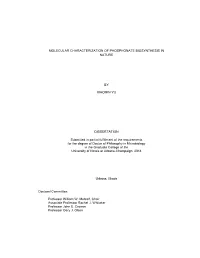 BY XIAOMIN YU DISSERTATION Submitted in Partial Fulfillment of The