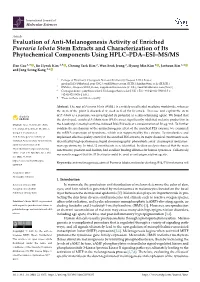 Evaluation of Anti-Melanogenesis Activity of Enriched Pueraria Lobata Stem Extracts and Characterization of Its Phytochemical Components Using HPLC–PDA–ESI–MS/MS