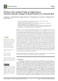 Evidence That Artificial Light at Night Induces Structure-Specific Changes