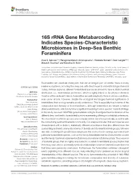 16S Rrna Gene Metabarcoding Indicates Species-Characteristic Microbiomes in Deep-Sea Benthic Foraminifera