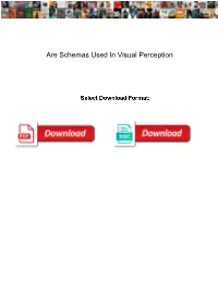 Are Schemas Used in Visual Perception