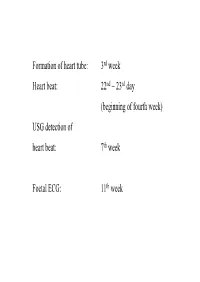 Development of Heart Notes