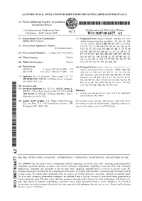 Wo 2007/016677 A2