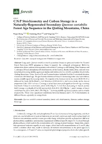 C:N:P Stoichiometry and Carbon Storage in a Naturally-Regenerated Secondary Quercus Variabilis Forest Age Sequence in the Qinling Mountains, China