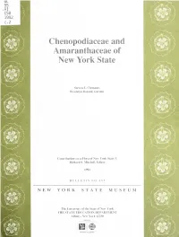 Chenopodiaceae and Amaranthaceae of New York State