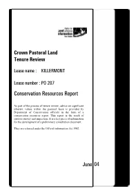 Doc Report on Tenure Review of …