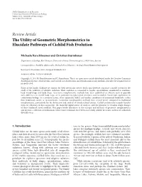 The Utility of Geometric Morphometrics to Elucidate Pathways of Cichlid Fish Evolution