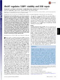 Ubch7 Regulates 53BP1 Stability and DSB Repair