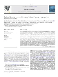 Bacterial Diversity from Benthic Mats of Antarctic Lakes As a Source of New Bioactive Metabolites