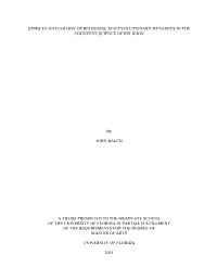 University of Florida Thesis Or Dissertation Formatting