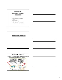 1. Membrane Structure Plasma Membrane
