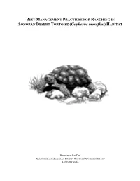BEST MANAGEMENT PRACTICES for RANCHING in SONORAN DESERT TORTOISE (Gopherus Morafkai) HABITAT